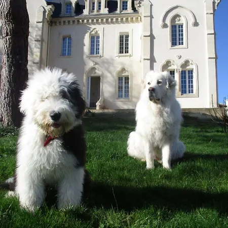 Le Manoir De Sanilhac Sanilhac (Dordogne)